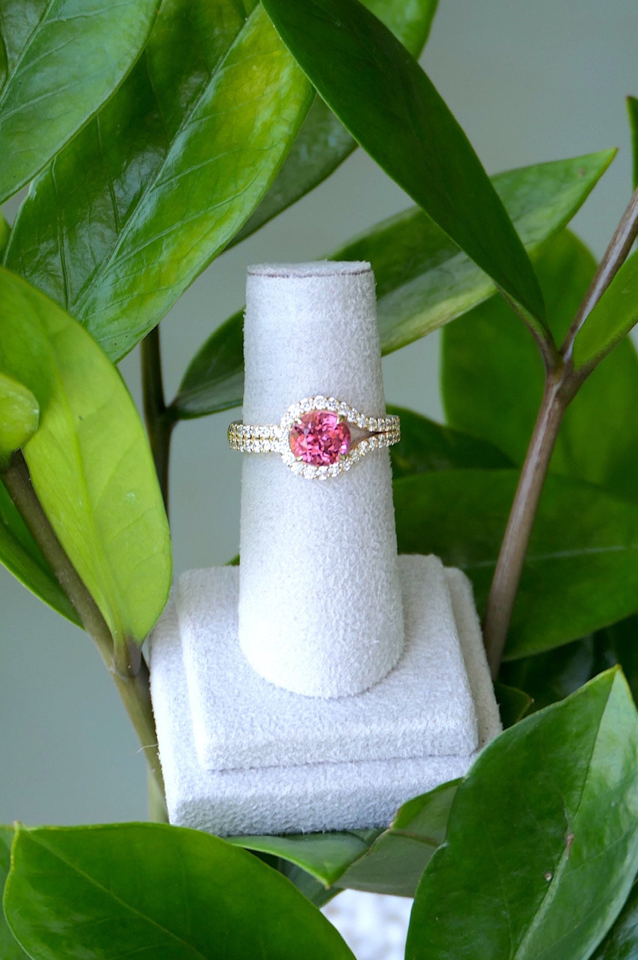 Ring on a white stand with green leaves in the background