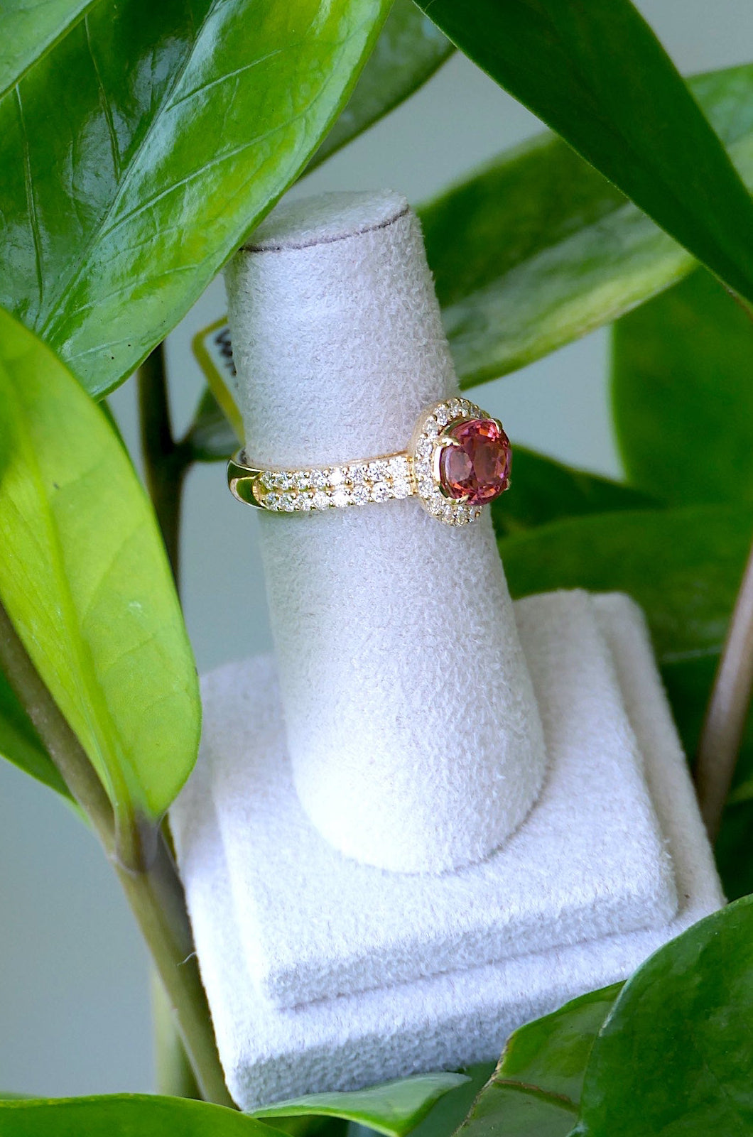 Eternal Loop Halo Ring