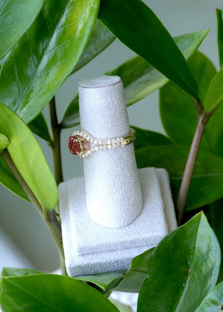 Anillo Halo Bucle Eterno