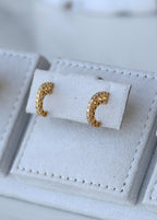 Golden Curve Pavé Earring