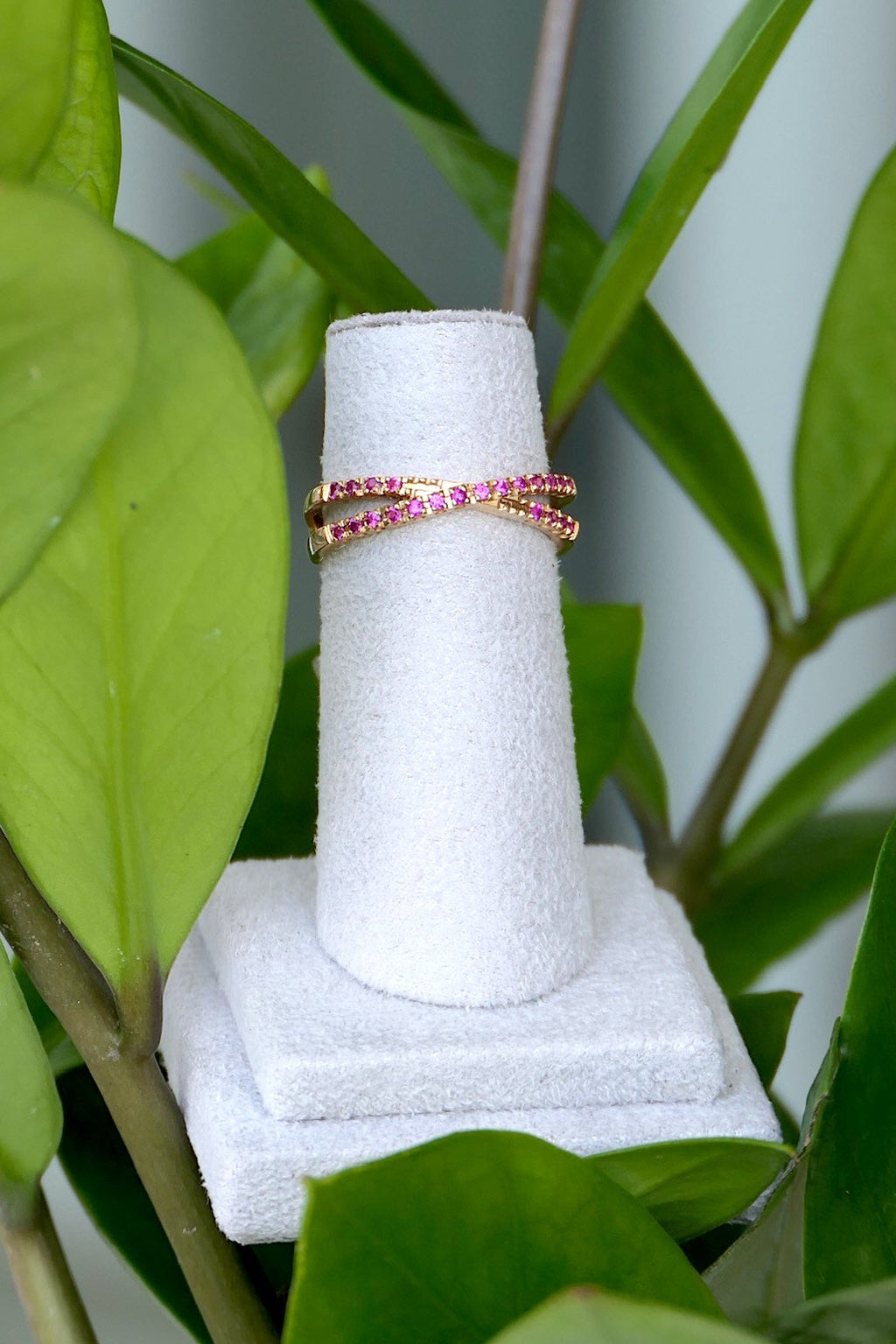 Two rings on a white stand surrounded by green leaves
