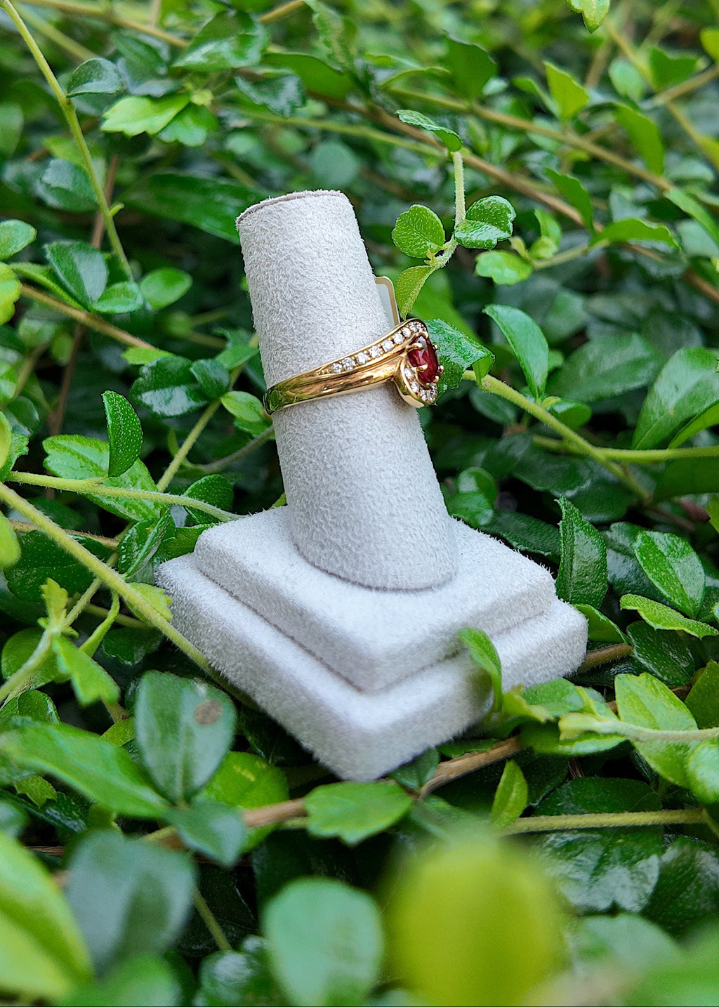 Anillo de herencia romántica