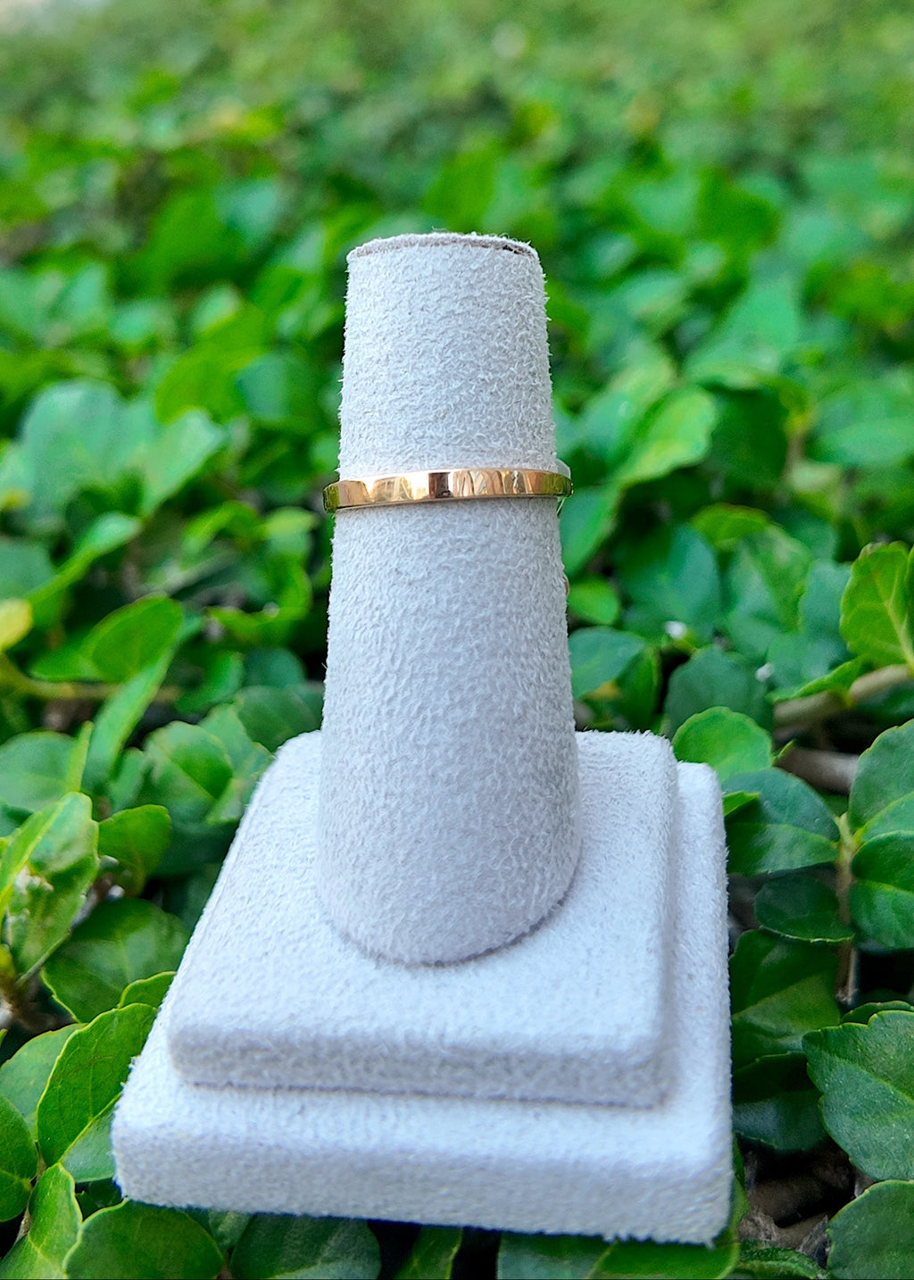 Anillo de bobina