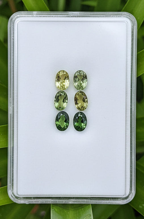Green Ombre Tourmaline Dangle Earring Pair Set