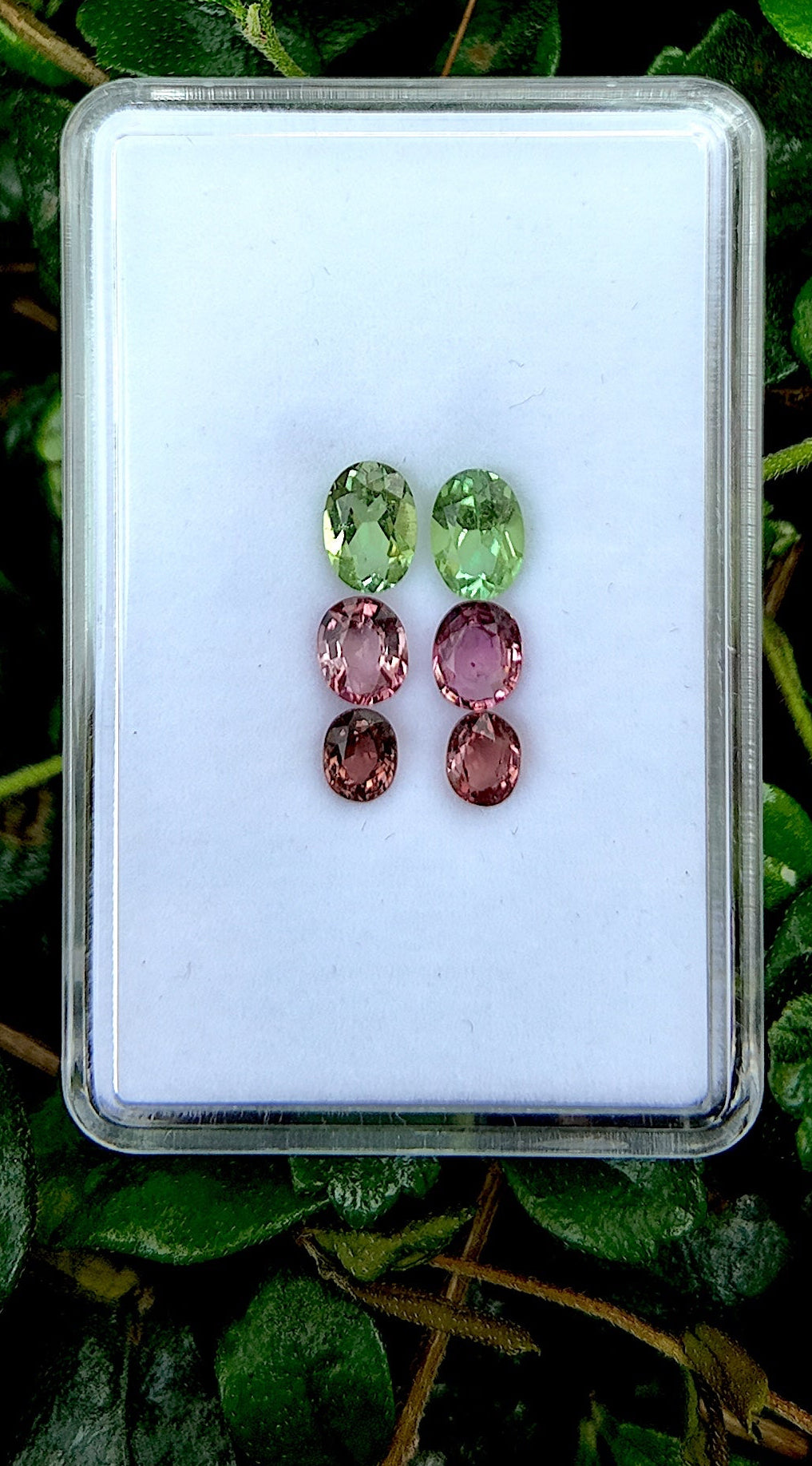 Rosé Mint Gradient Tourmaline Earring Pair Set