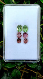 Rosé Mint Gradient Tourmaline Earring Pair Set