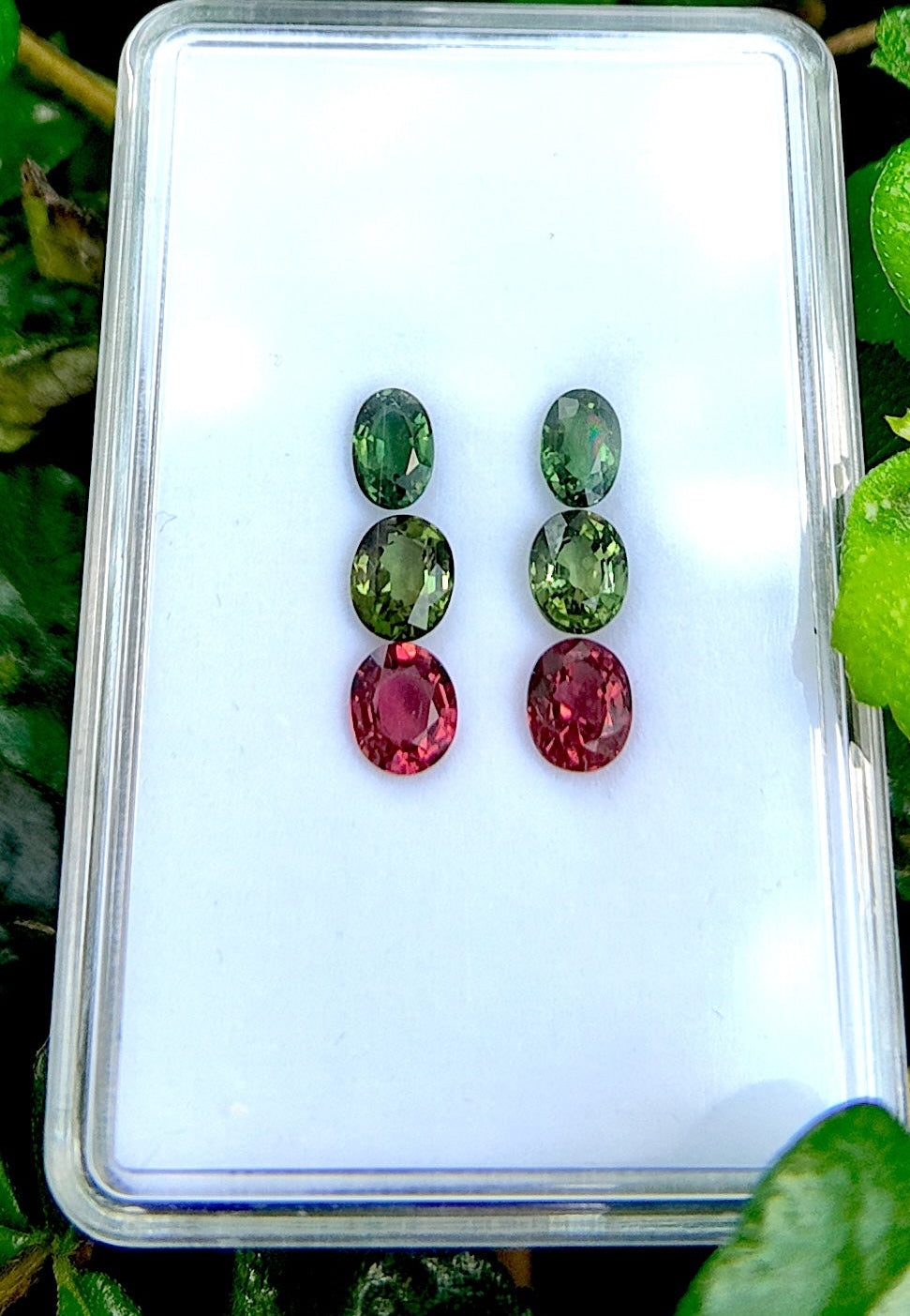 Forest to Fuchsia Tourmaline Drop Earring Pair Set