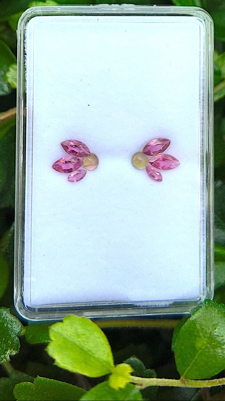 Watermelon Wing Tourmaline Earring Pair Set