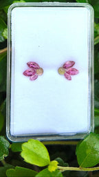 Watermelon Wing Tourmaline Earring Pair Set