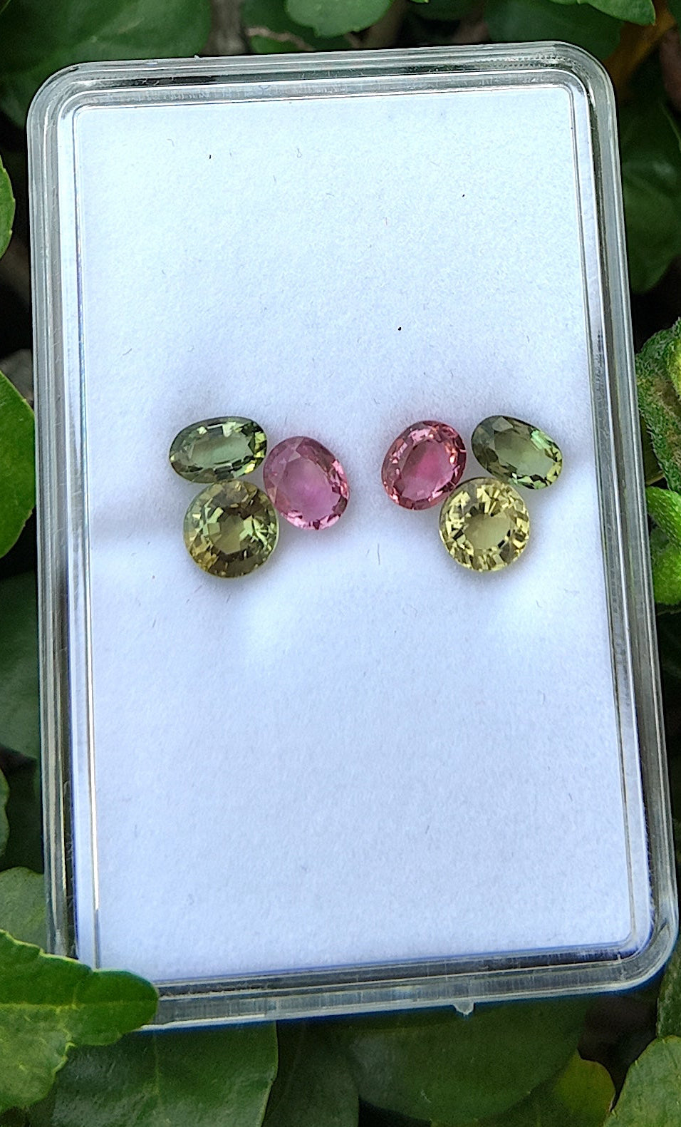 Citrus Blush Curve Tourmaline Stud Earring Pair Set