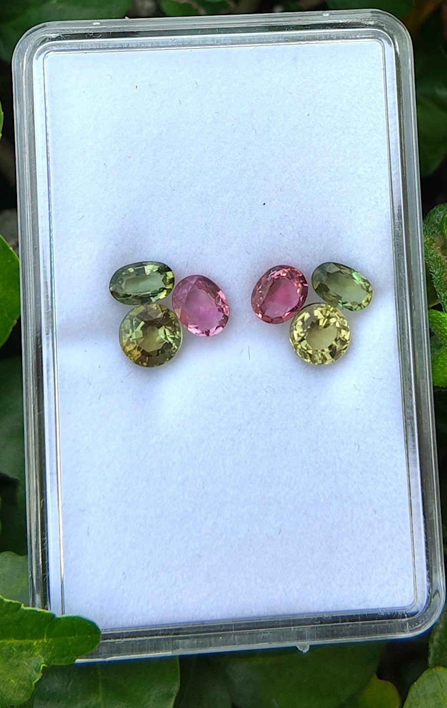Citrus Blush Curve Tourmaline Stud Earring Pair Set