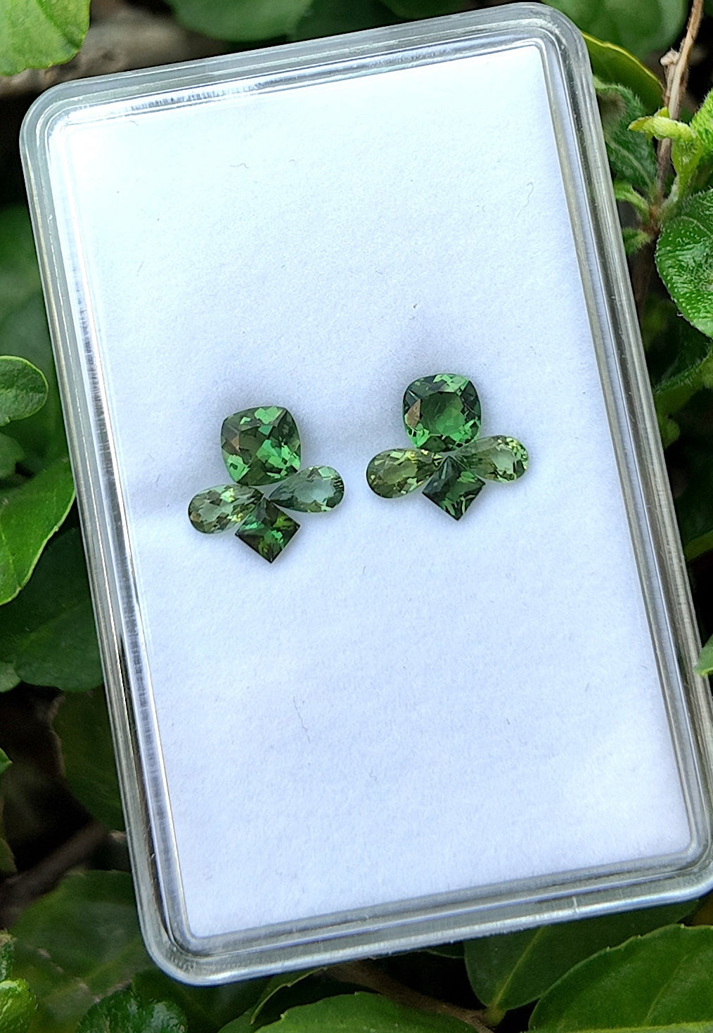 Green clover earrings on a white card with green leaves in the background