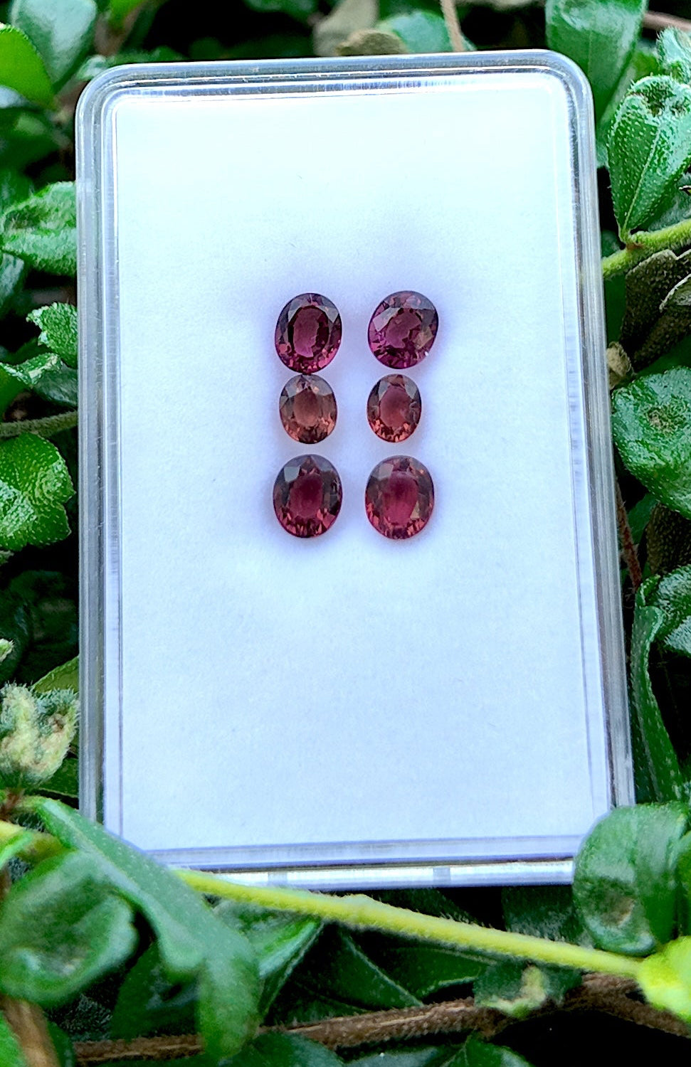 Magenta Trio Tourmaline Earring Pair Set