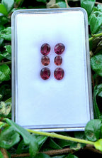 Magenta Trio Tourmaline Earring Pair Set