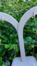 Luna Hoop Earrings