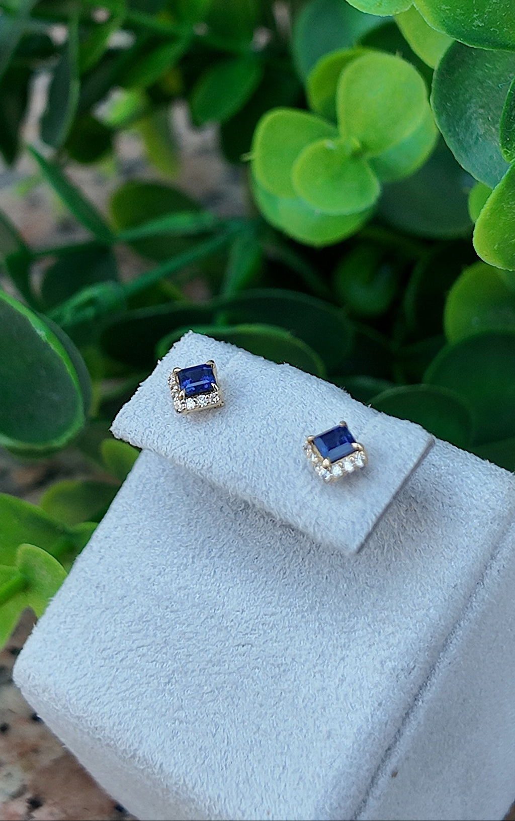 Vertex Ocean Studs