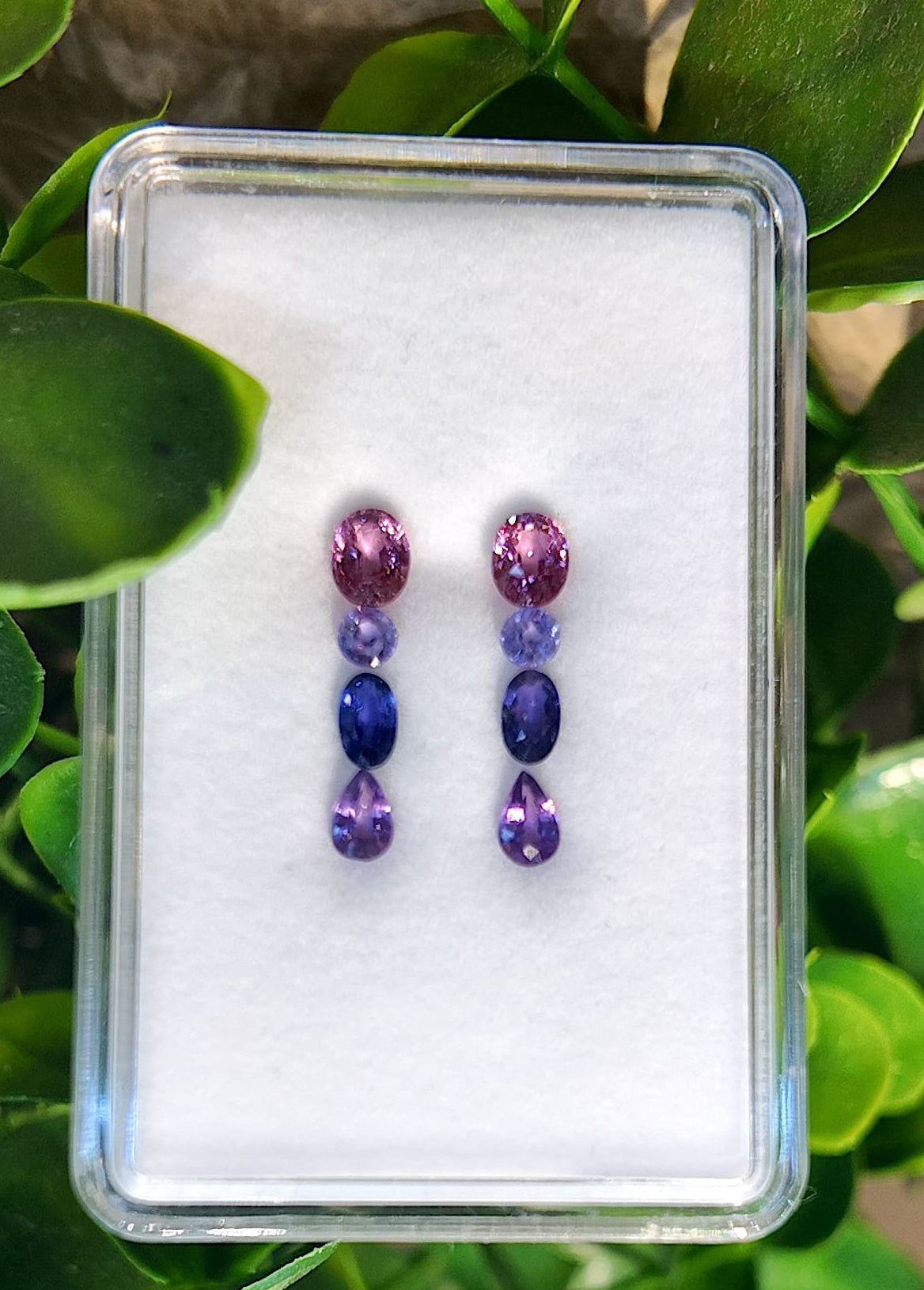 Berry Luxe Sapphire Drop Earrings