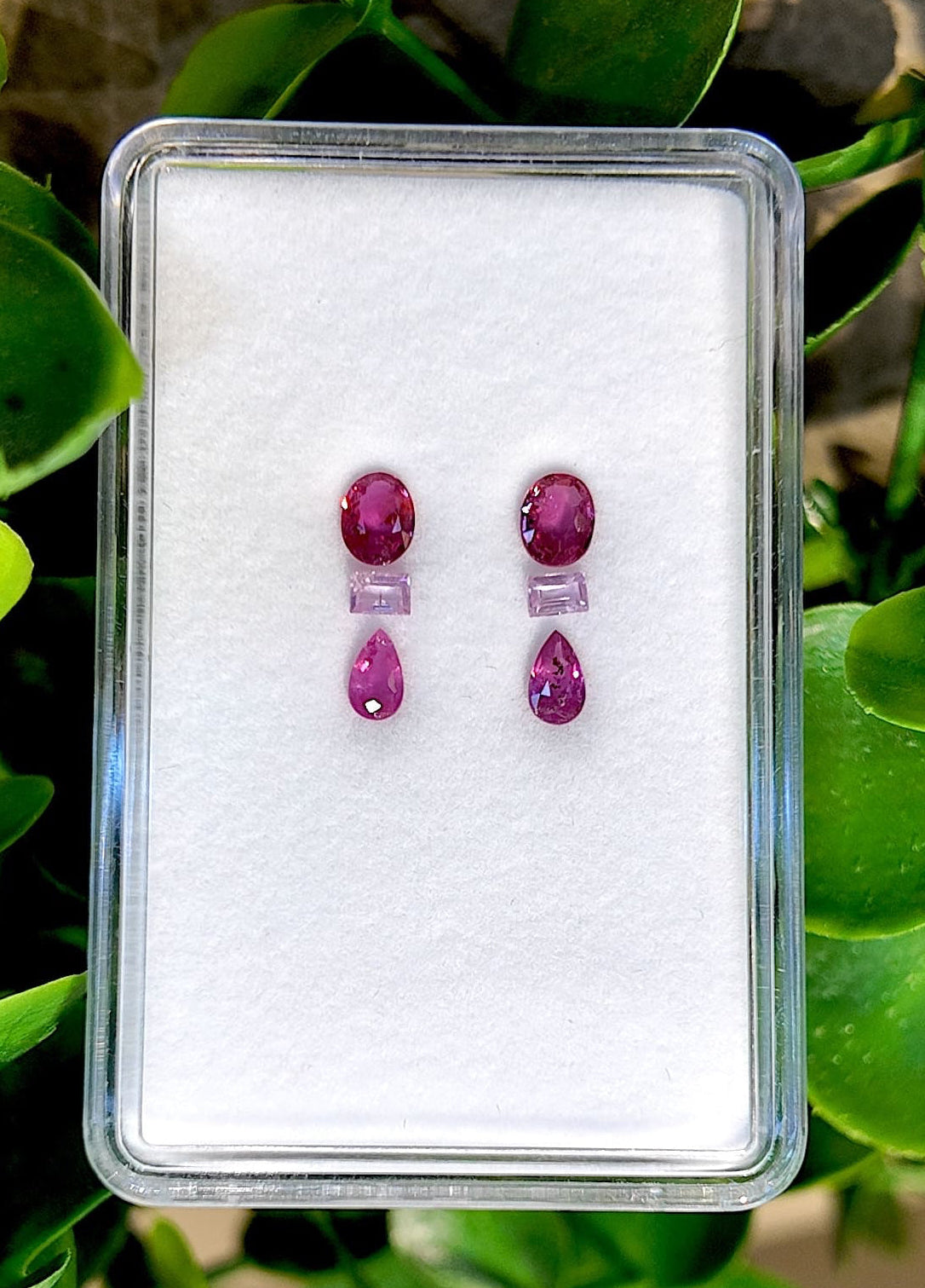 Pendientes colgantes de zafiro Rosé Glow
