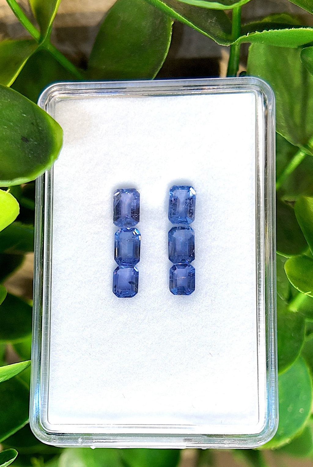 Azure Line Sapphire Drop Earrings