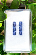Azure Line Sapphire Drop Earrings