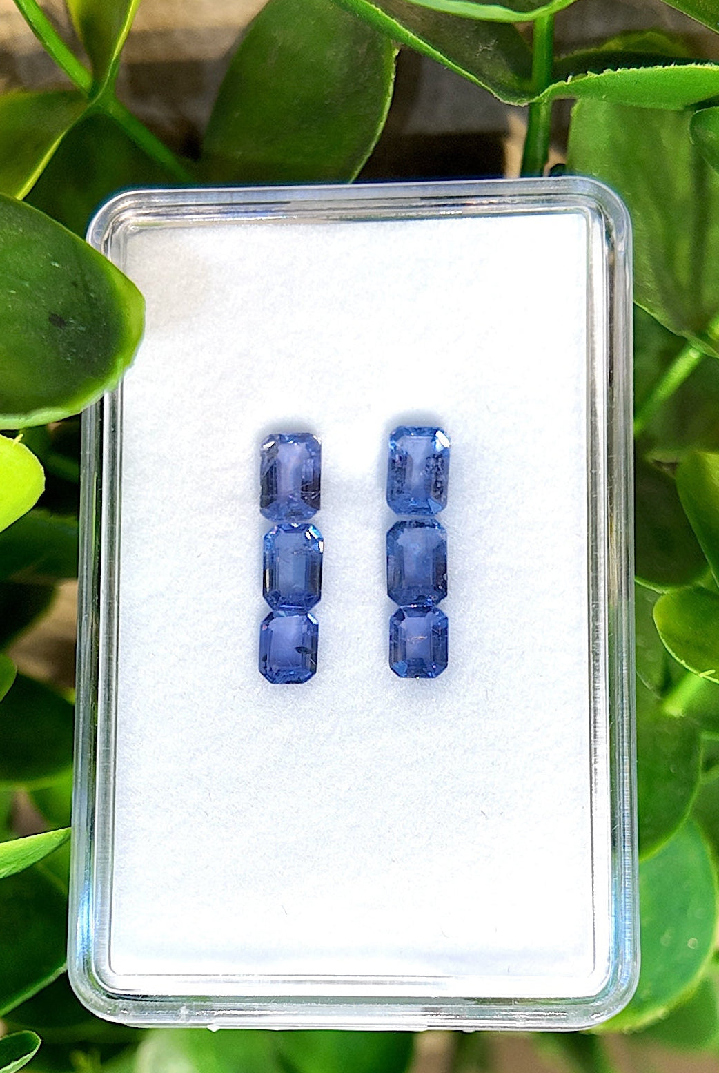 Azure Line Sapphire Drop Earrings