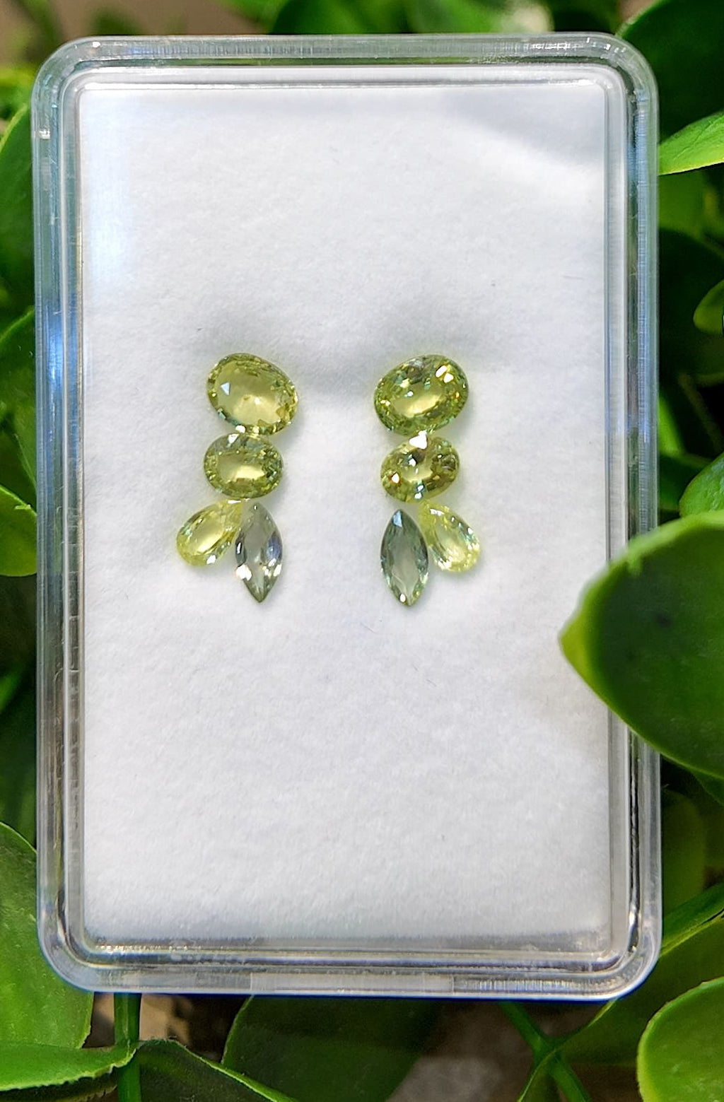 Lime Mirage Sapphire Drop Earrings