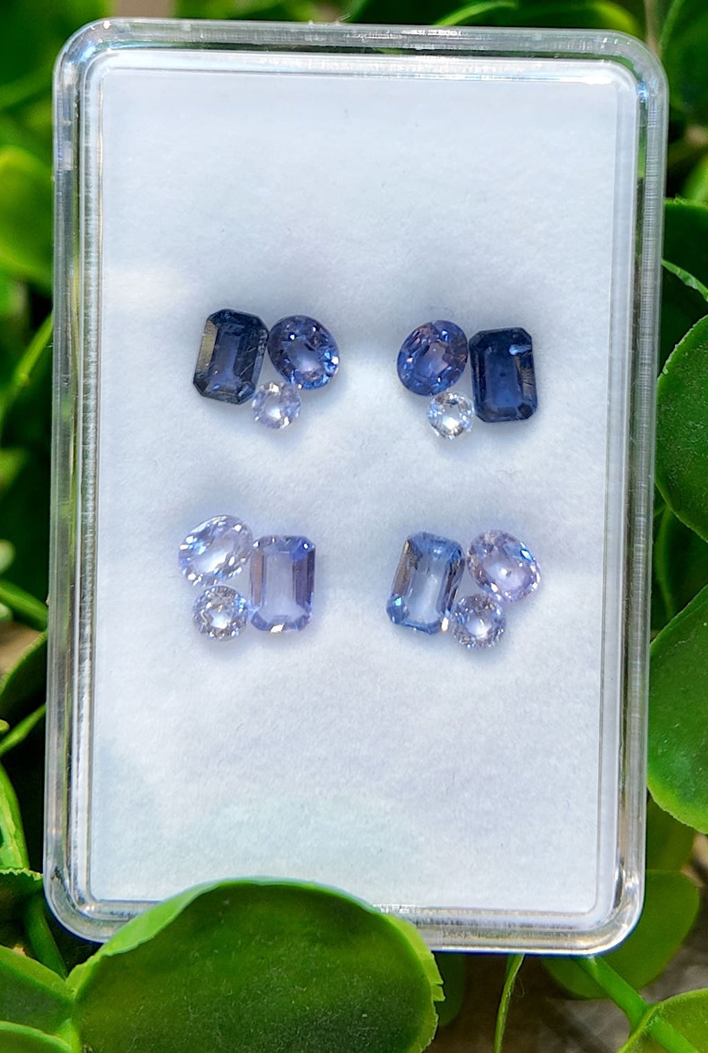 Midnight Tide Sapphire Stud Pair Set