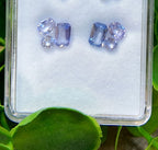 Set de aretes de zafiro Aura Pastel