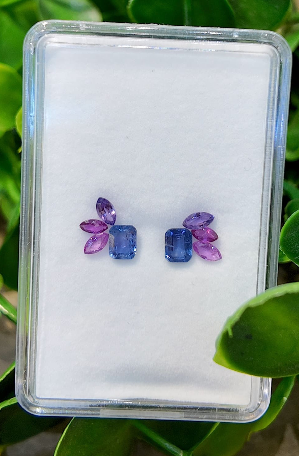 Par de pendientes de zafiro Twilight Wing