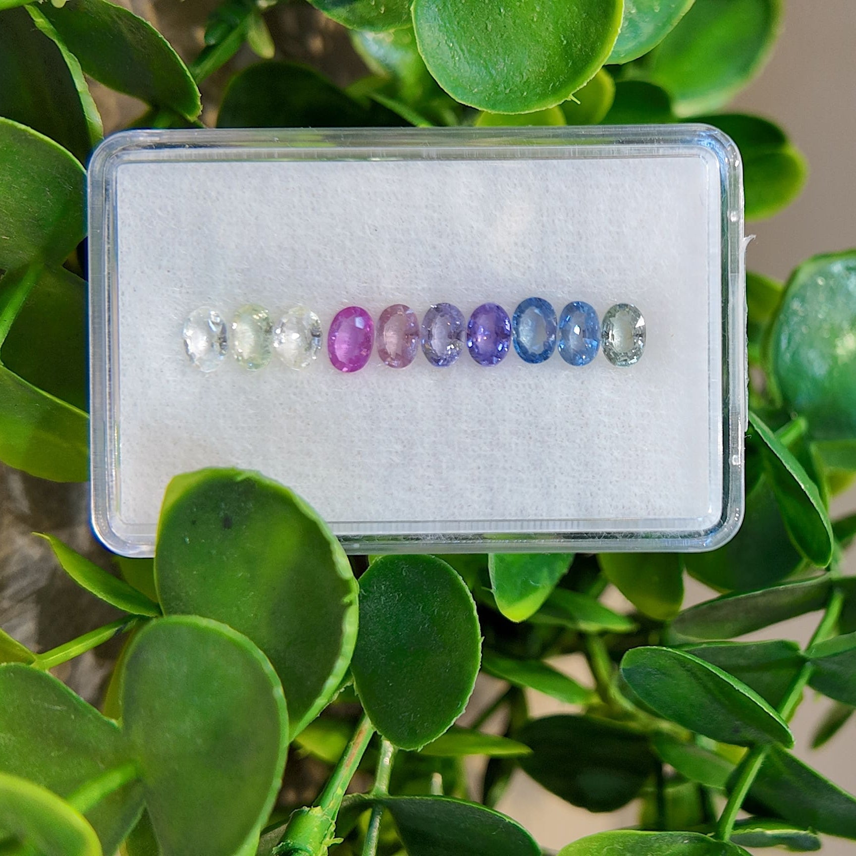 Conjunto de zafiro arcoíris ovalado con halo