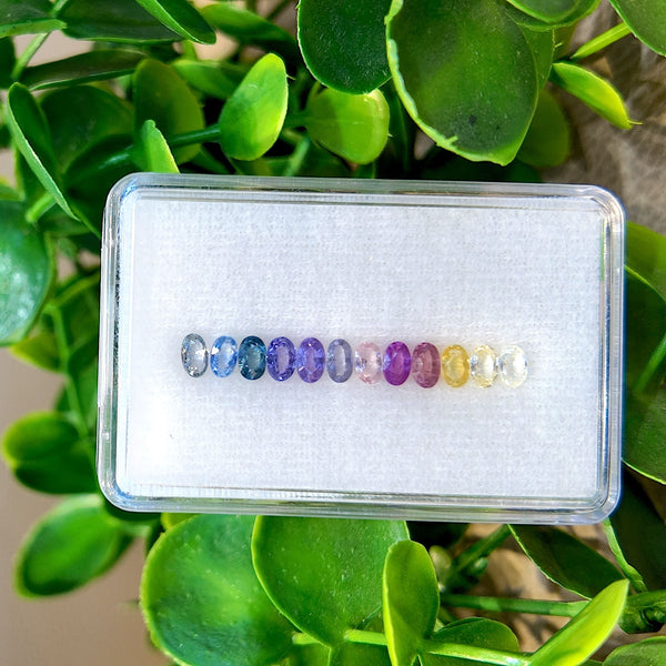 Halo Oval Rainbow Sapphire Set