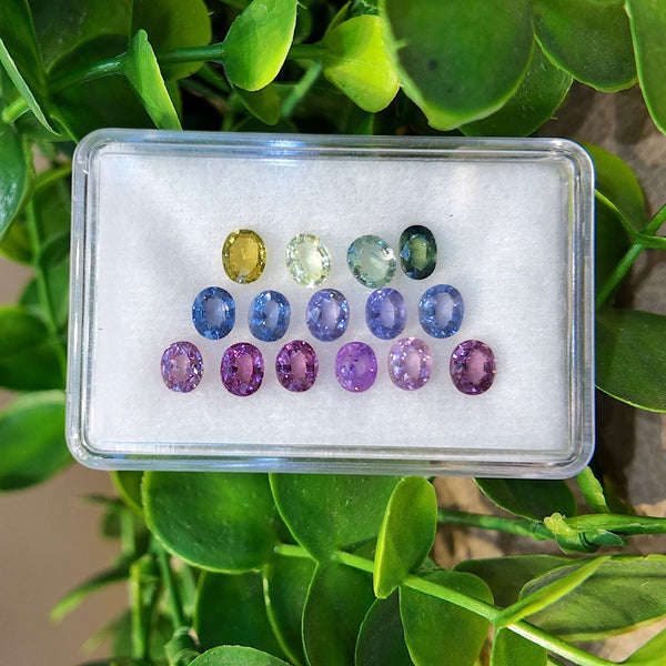 Halo Oval Rainbow Sapphire Set