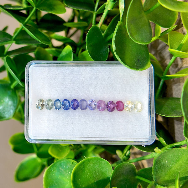 Halo Oval Rainbow Sapphire Set