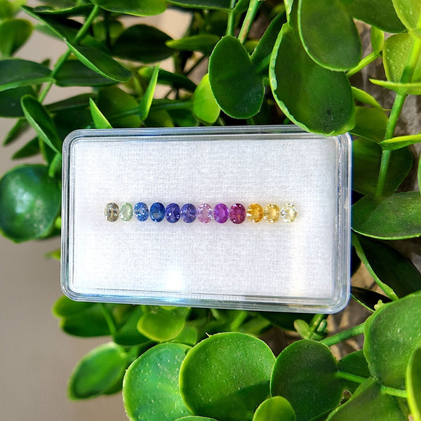 Halo Oval Rainbow Sapphire Set