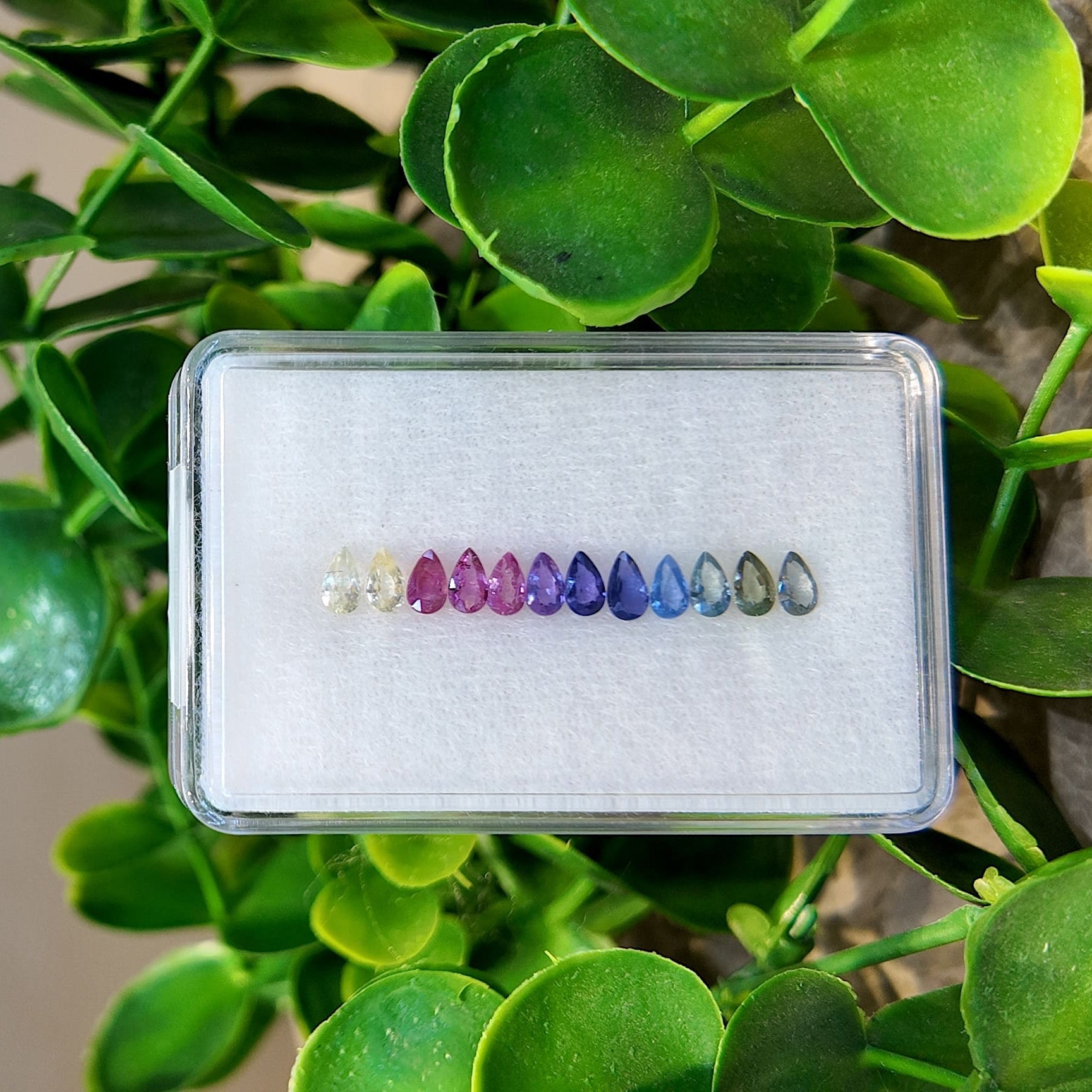 Bloom Pear Rainbow Sapphire Set