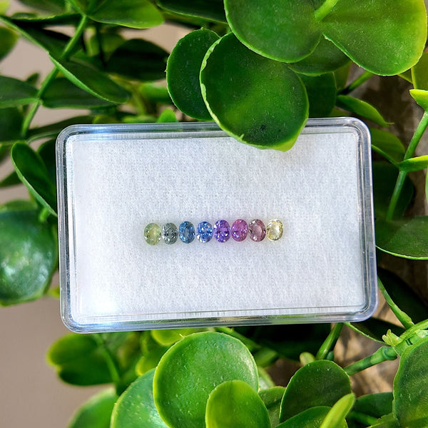Halo Pastel Oval Rainbow Sapphire Set