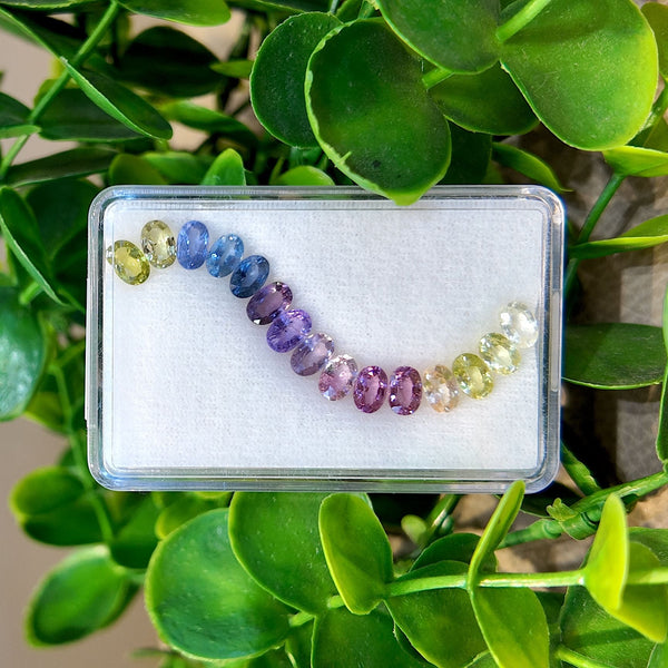 Halo Oval Rainbow Sapphire Set