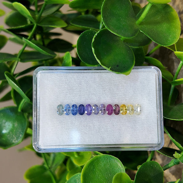 Halo Oval Rainbow Sapphire Set