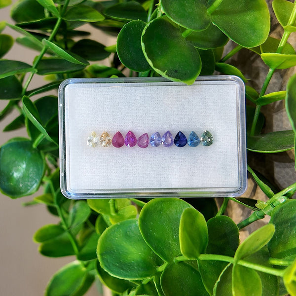 Bloom Pear Rainbow Sapphire Layout